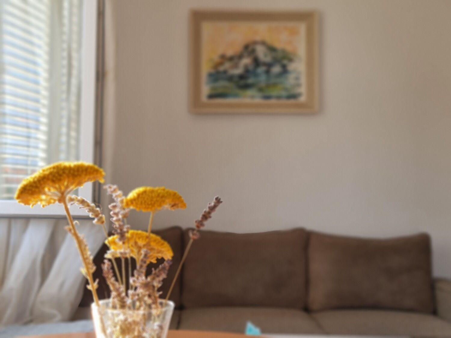 Apartments Dami - 100M From The Sea أوروبيتش المظهر الخارجي الصورة