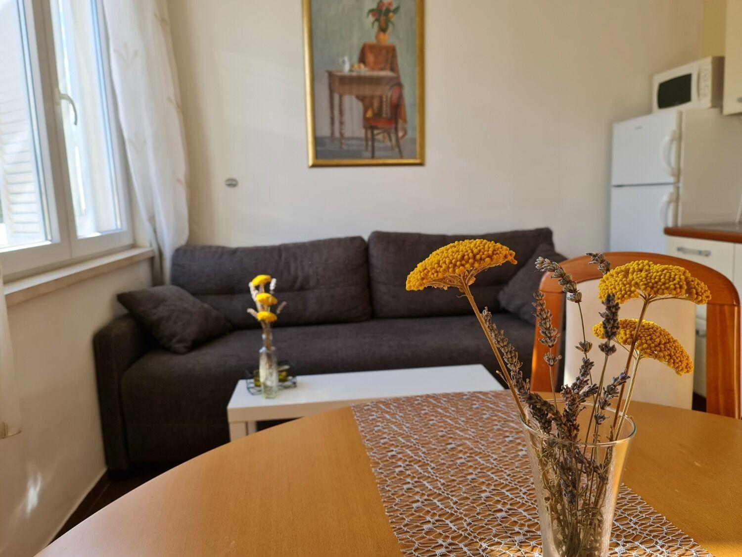 Apartments Dami - 100M From The Sea أوروبيتش المظهر الخارجي الصورة